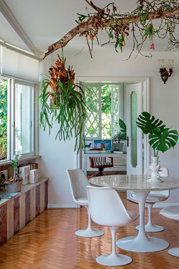 Sala de Jantar Tropical com Plantas Exuberantes - detalhe