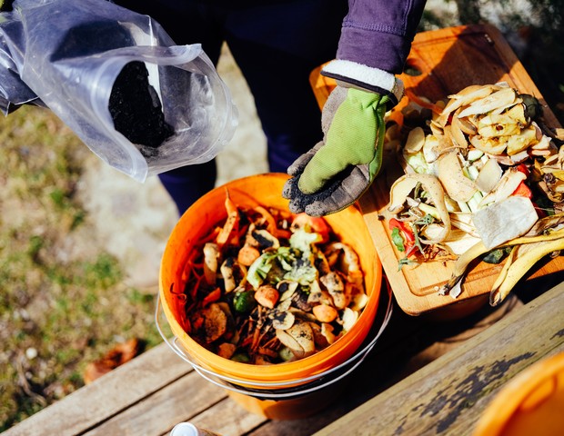 Usando Adubo Bokashi: Tradição Japonesa para um Jardim Vibrante - detalhe