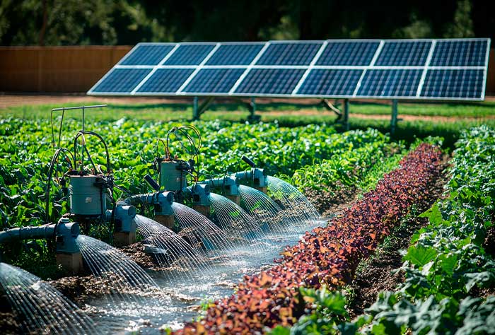 Com Bomba Solar para Irrigação: Energia Limpa e Sustentável - detalhe