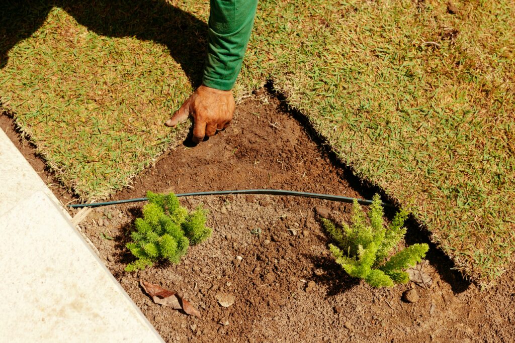 Com Espreguiçadeiras para Relaxamento - ideia