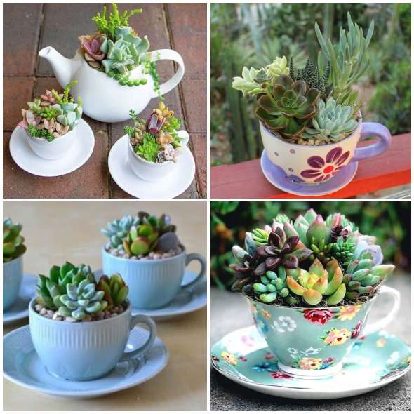 Plantas em Xícaras Vintage: Charme Retrô na Decoração - ideia