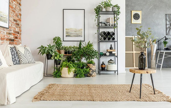 Verde em Casa: Sala com Plantas Pendentes e Vasos Decorativos - detalhe