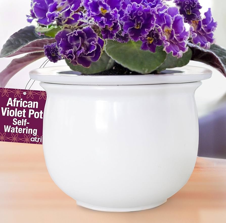 Violetas Africanas Delicadas em Mini Vasos Vintage de Porcelana: Um Toque Nostálgico - detalhe
