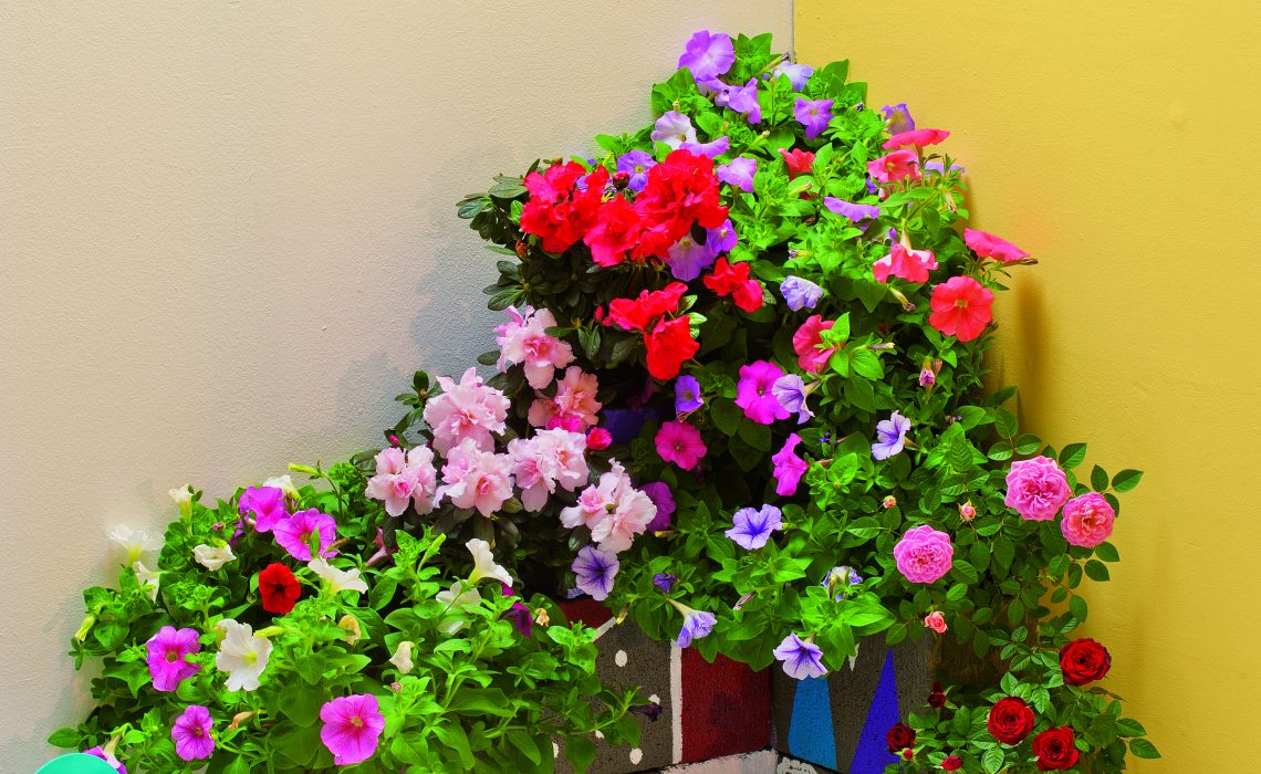 Flores Plantadas em Blocos de Concreto Vazados: Modernidade e Minimalismo no Paisagismo - inspiração