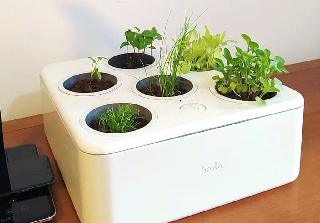 Horta Luminosa com LED: Cultivo Noturno e Decoração Moderna - ideia