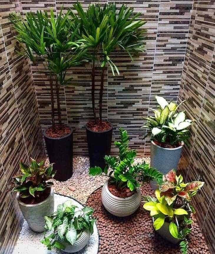 Simplicidade Encantadora: Jardim de Inverno com Vasos de Barro - ideia