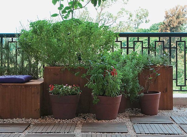 Com mini horta: temperos frescos sempre à mão - inspiração