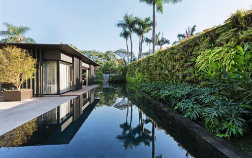 Jardim Tropical com Espelho d'Água: Refrescância e sofisticação - detalhe