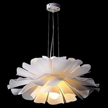 Luminária Pendente com Flores Secas: Delicadeza Romântica - inspiração