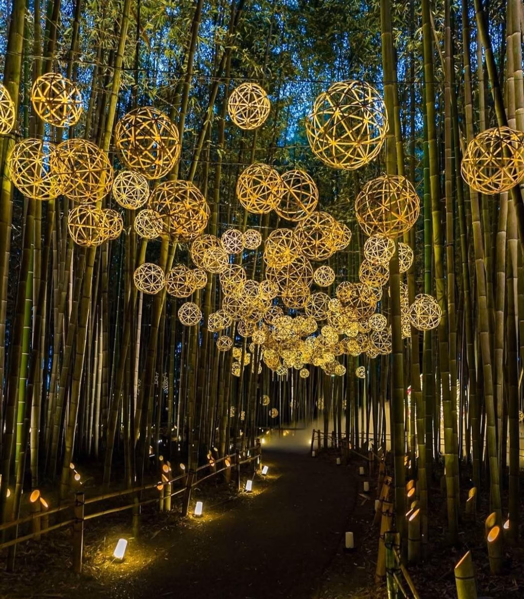 Iluminação Estratégica em Bambuzais: Crie um Ambiente Mágico à Noite - ideia