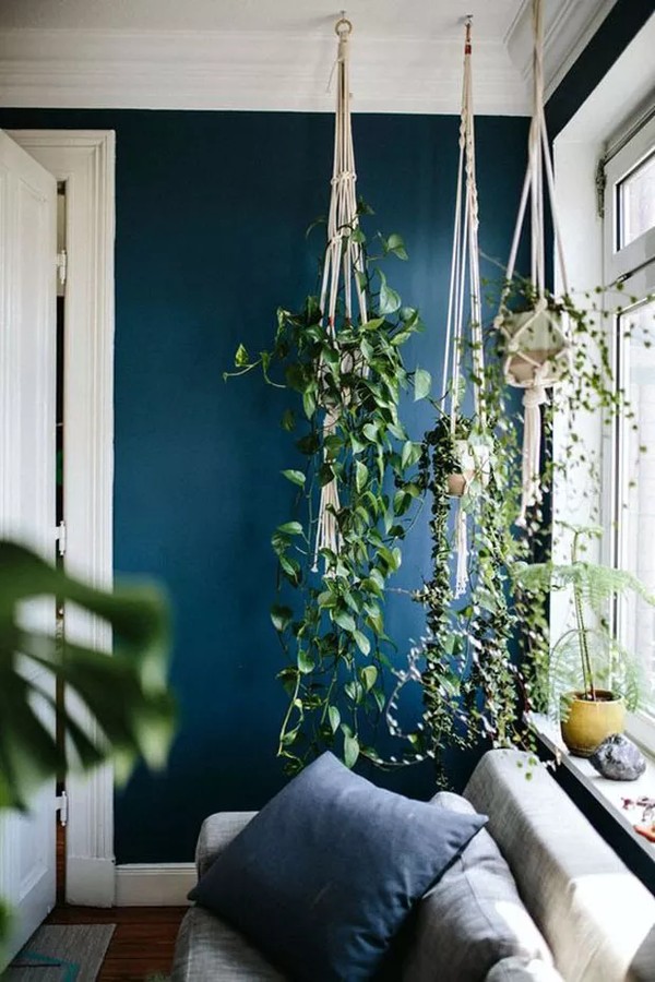 Plantas Pendentes Em Varandas: Cortinas Naturais - ideia