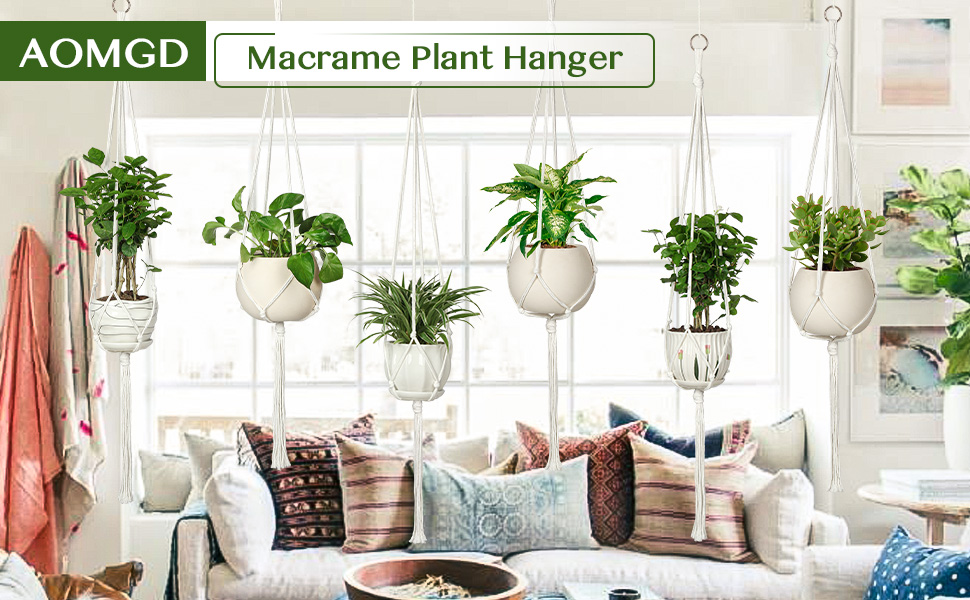 Com Plantas Suspensa em Macramê - detalhe