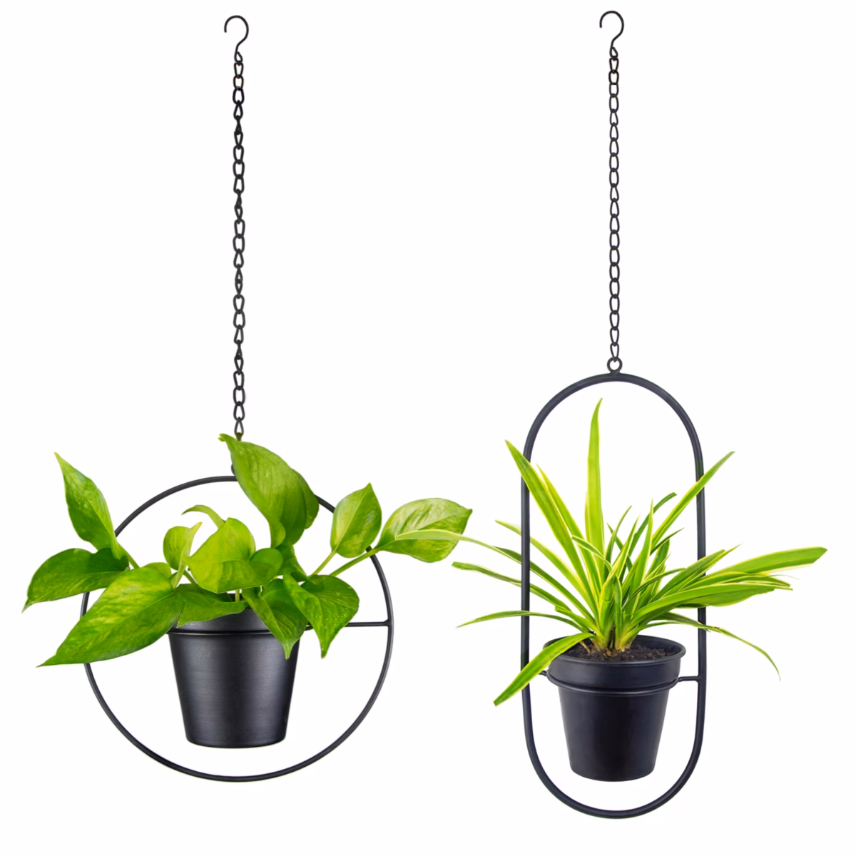 Suculentas em Vasos Geométricos de Metal: Design Contemporâneo e Sofisticado - inspiração