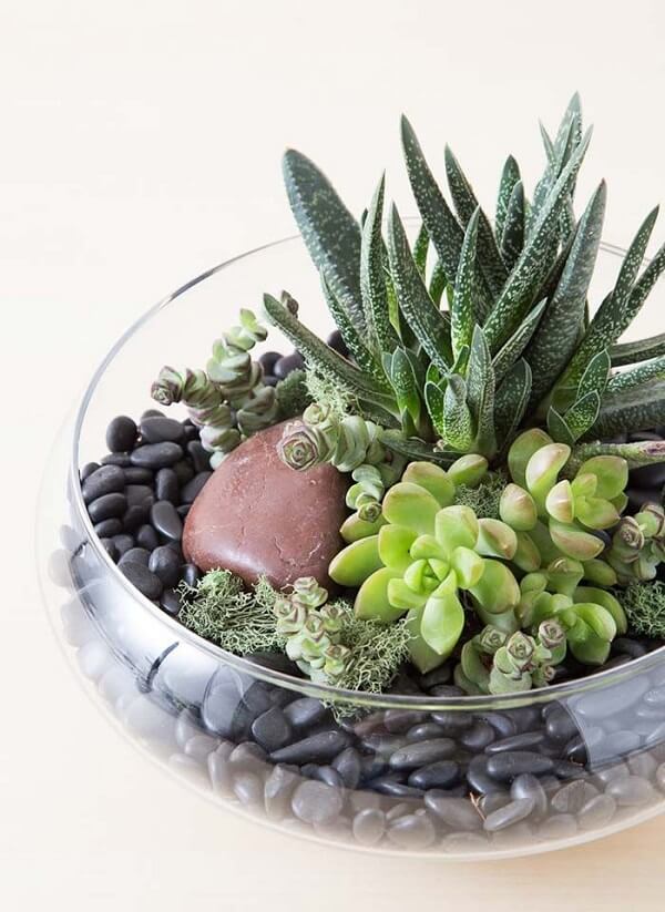Suculentas em Vasos Decorados com Pedras e Cristais: Energia e Sofisticação - inspiração