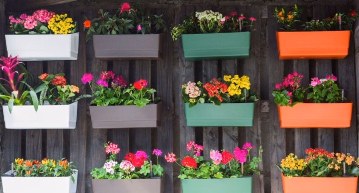 Plantas Suspensas para um Jardim Vertical - inspiração