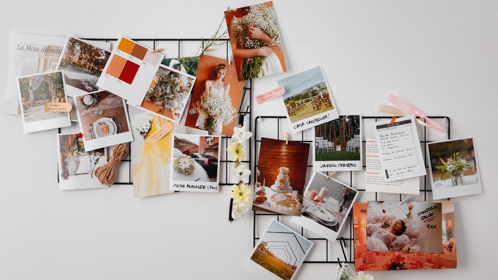 Livros e Coleções Expostas: Seus Interesses à Mostra - detalhe