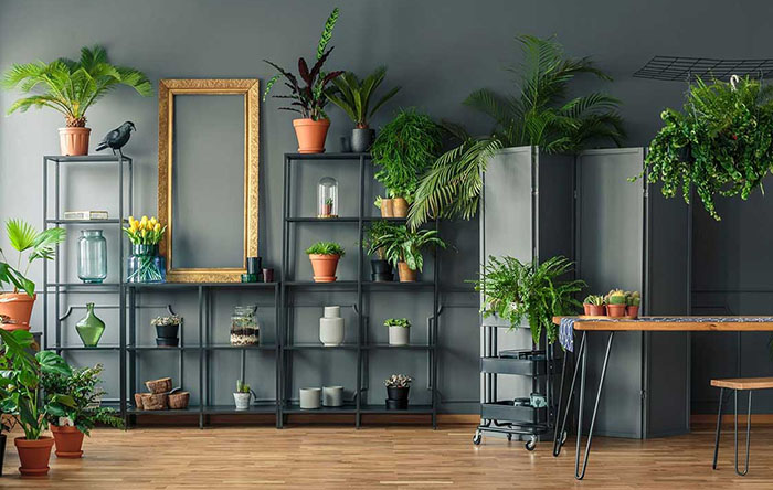 Verde em Casa: Sala com Plantas Pendentes e Vasos Decorativos - ideia