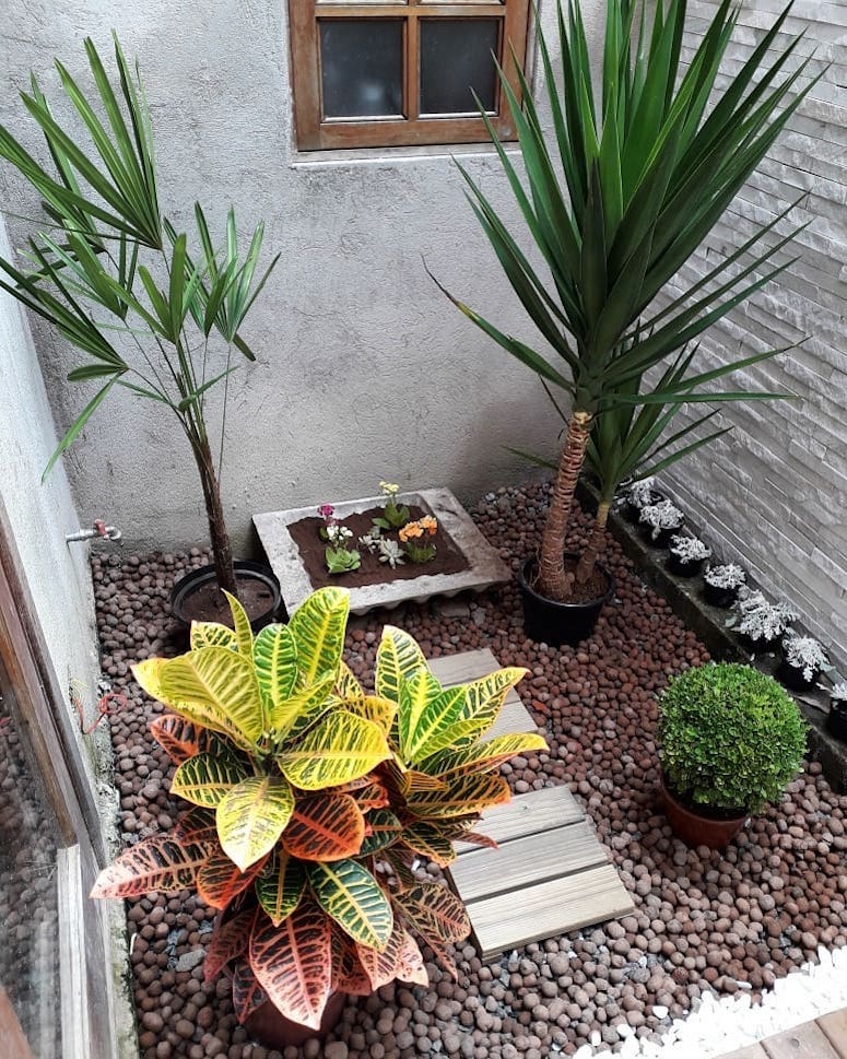 Composição de Flores de Inverno em Vasos de Barro: Simplicidade e Charme Campestre - detalhe