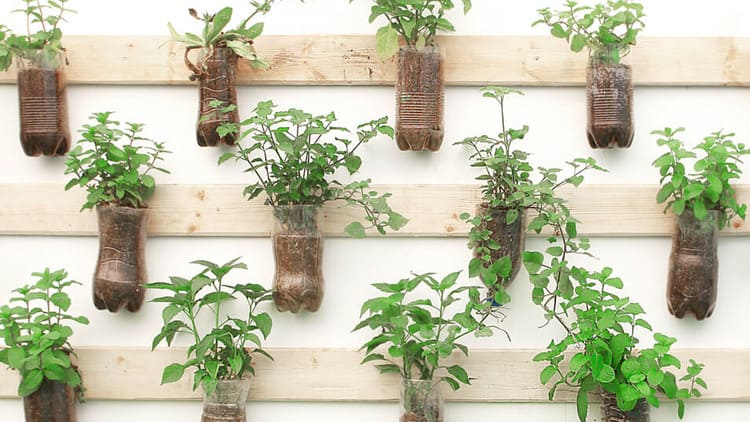 Mini Horta em Garrafas PET: Reciclagem Criativa e Sustentável - ideia