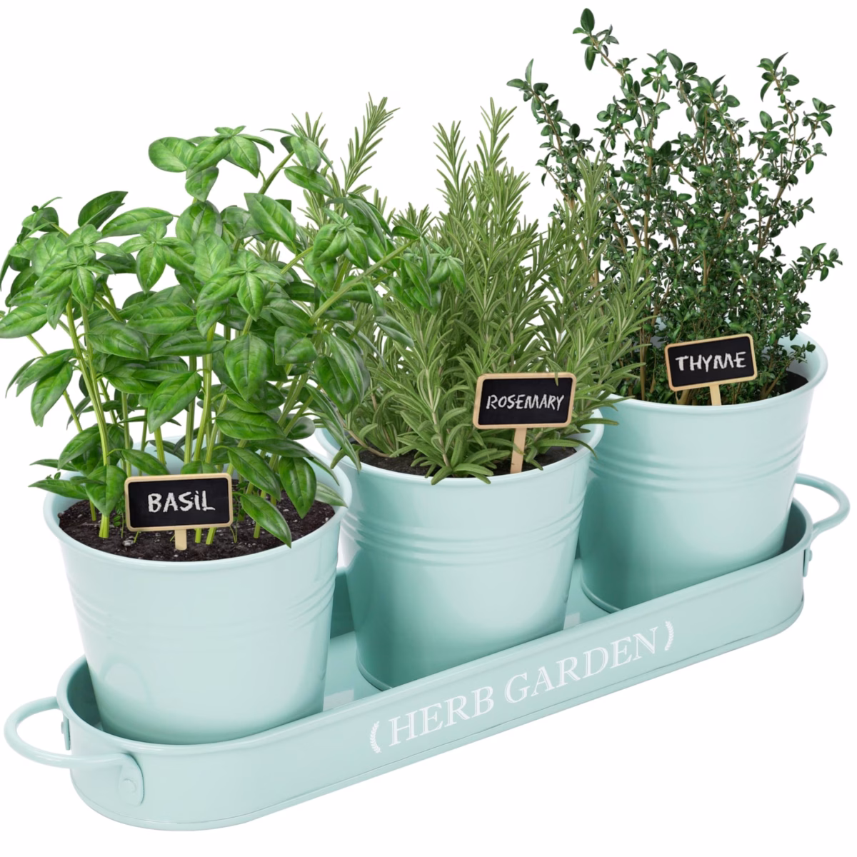 Jardim de Ervas em Vasos Vintage de Porcelana: Delicadeza e Nostalgia - ideia