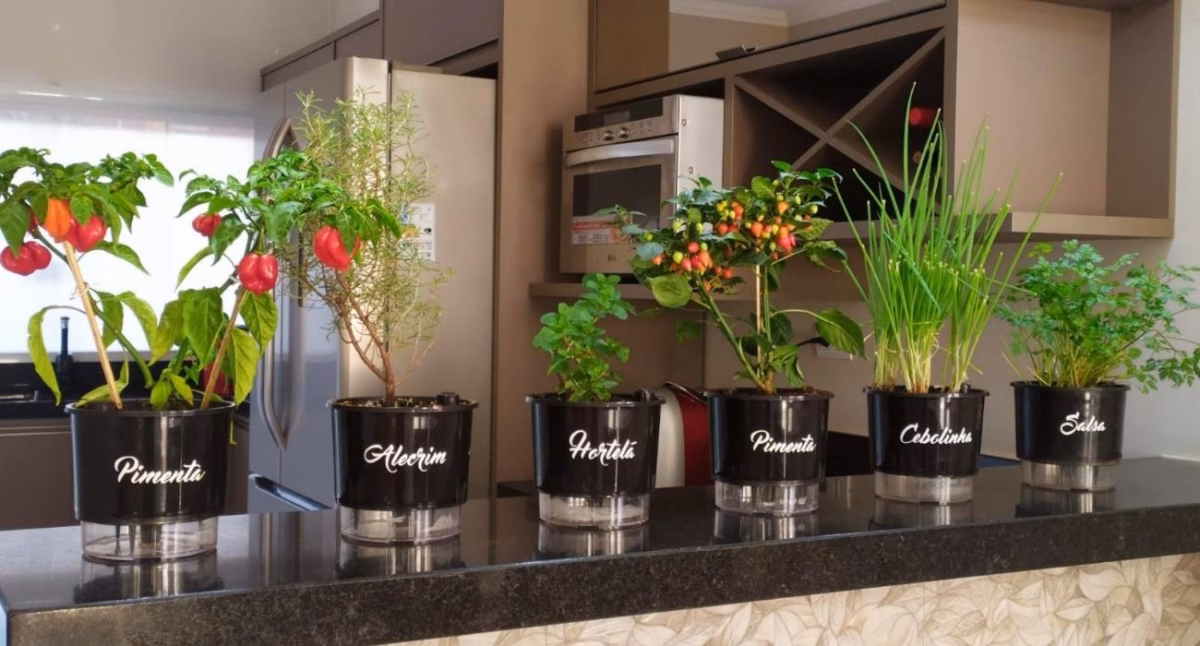 Com Plantas e Temperos Frescos à Mão - detalhe