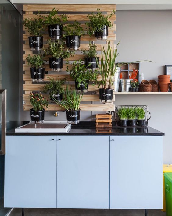 Cantinho de Temperos Vertical com Vasinhos - ideia