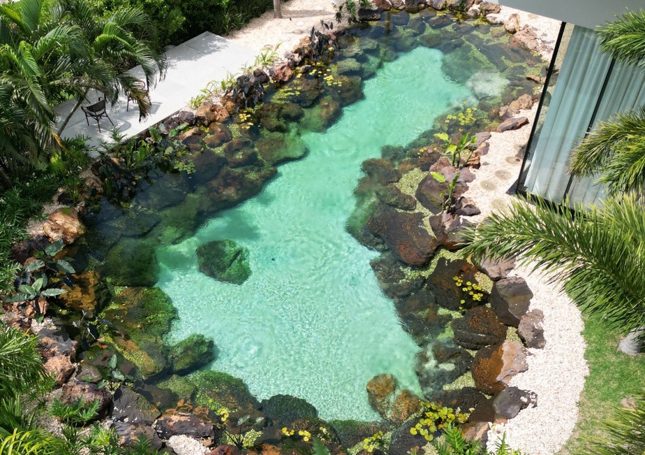 Em Formato Biológico Natural - detalhe