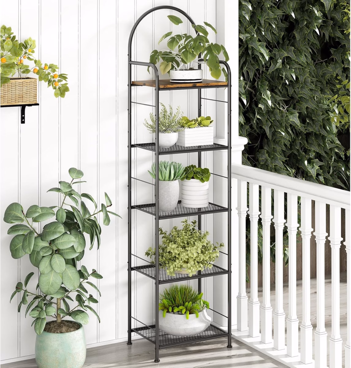 Prateleiras com Plantas e Ervas Aromáticas: Um Jardim Vertical na Sua Cozinha - detalhe