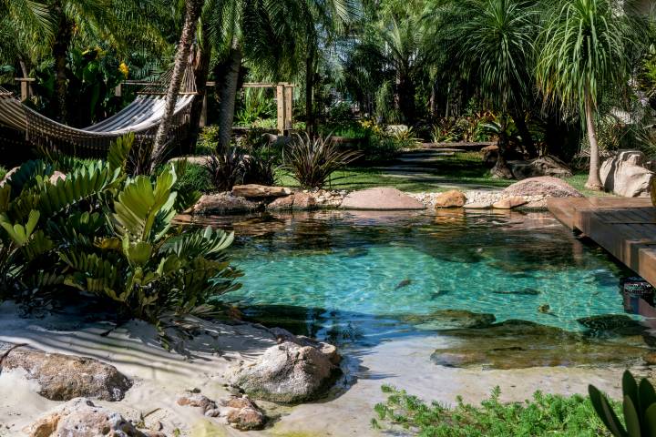 Com Formato Orgânico e Espreguiçadeiras Submersas - inspiração