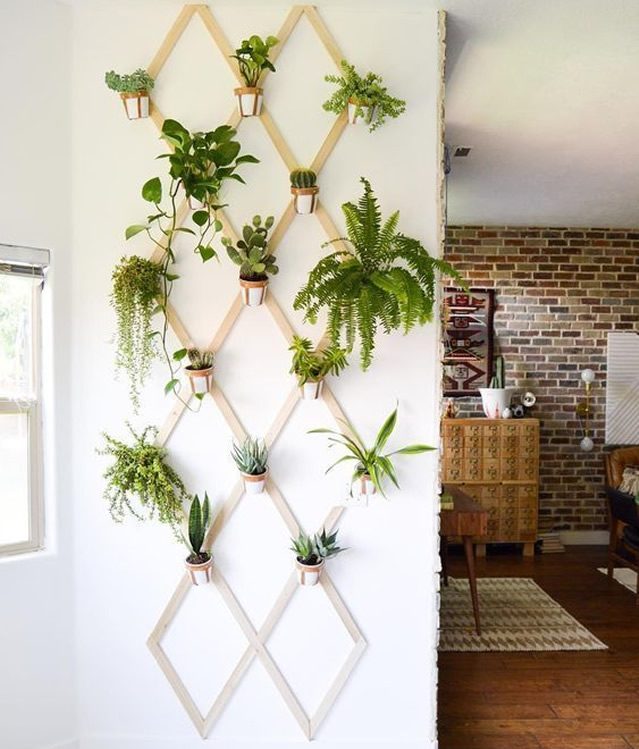 Plantas Suspensas para um Jardim Vertical - detalhe