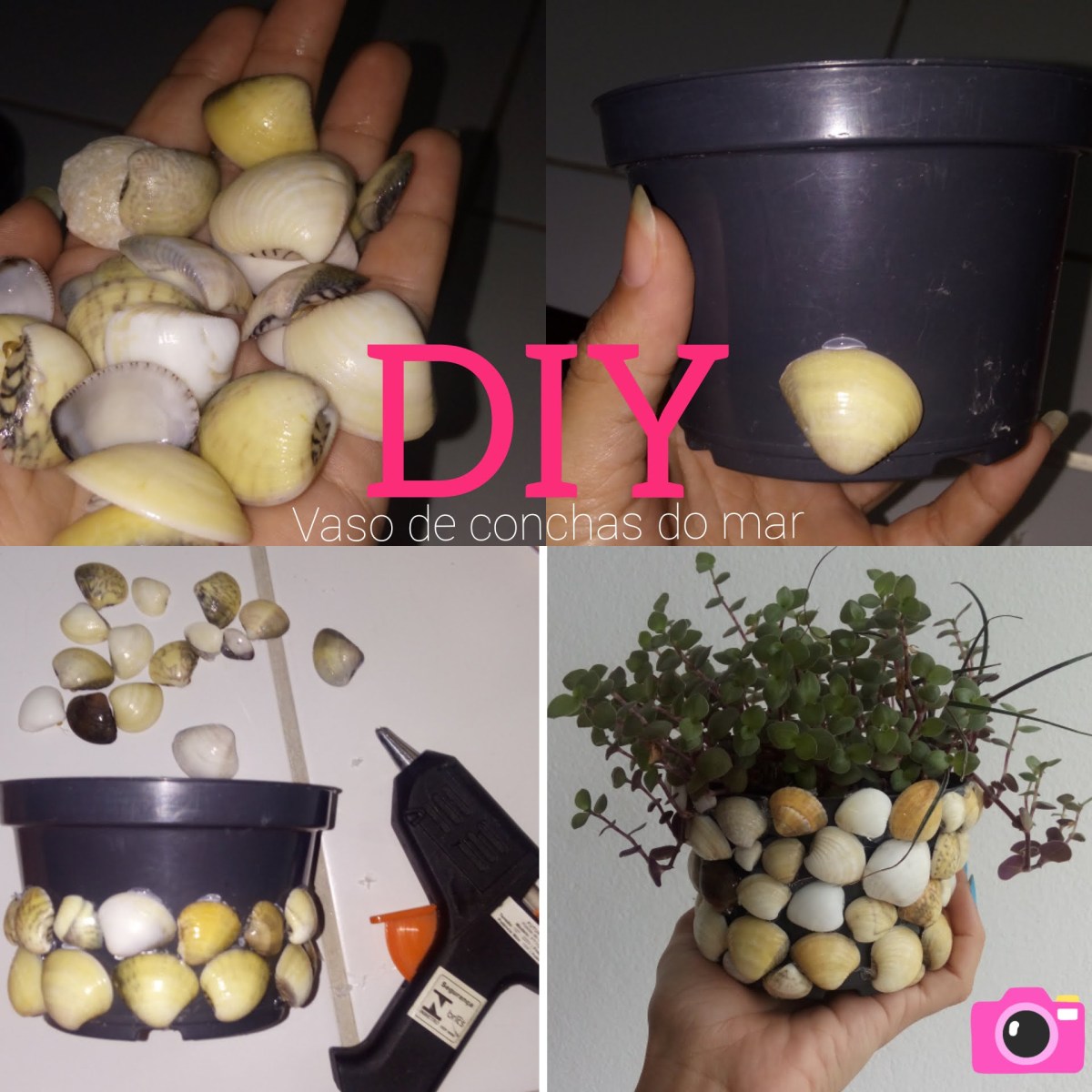 Vaso Customizado com Pedras e Conchas: Uma Lembrança do Mar - inspiração