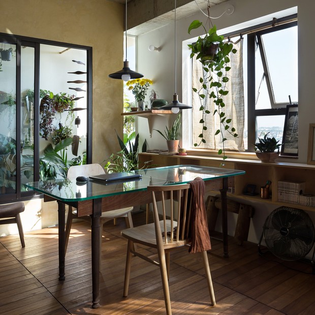 Sala de Jantar Integrada com a Natureza: Plantas e Luz Natural em Harmonia - detalhe