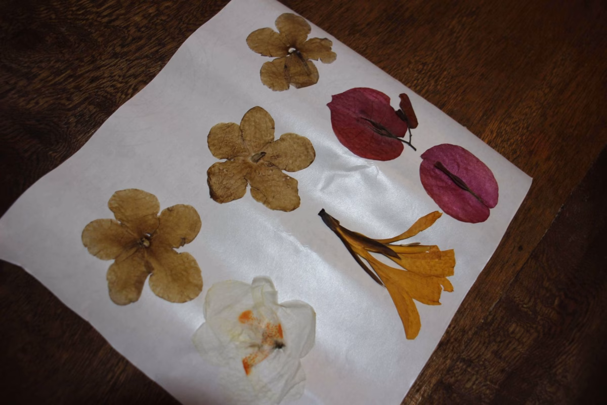 Delicadeza Floral: Decoração DIY com Flores Secas e Prensadas - ideia