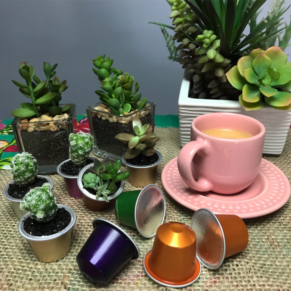 Mini Vasos em Cápsulas de Café: Sustentabilidade com Estilo - inspiração