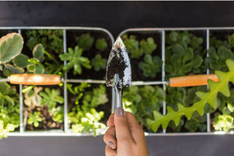 Em Jardins Verticais Adubados: Otimização de Espaço e Elegância Verde - ideia