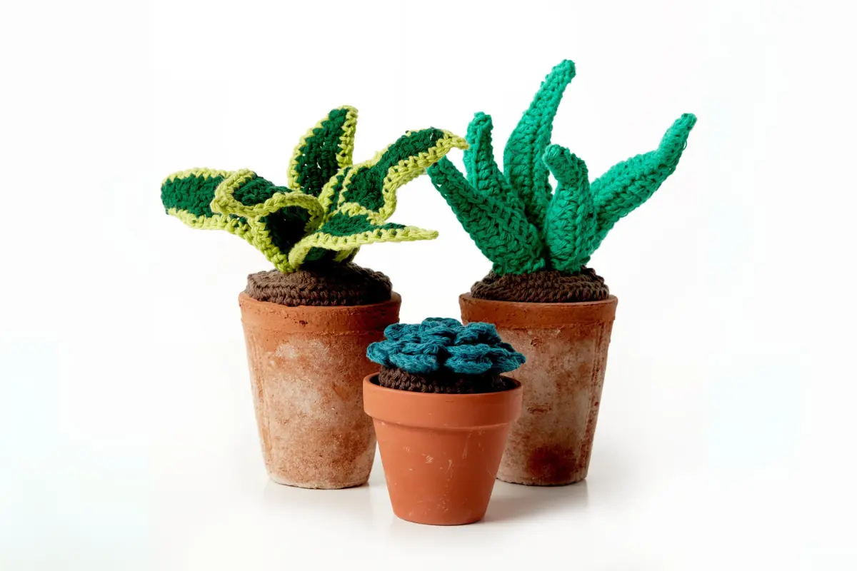 Suculentas em Cachepots de Crochê: Charme Artesanal e Aconchegante - ideia
