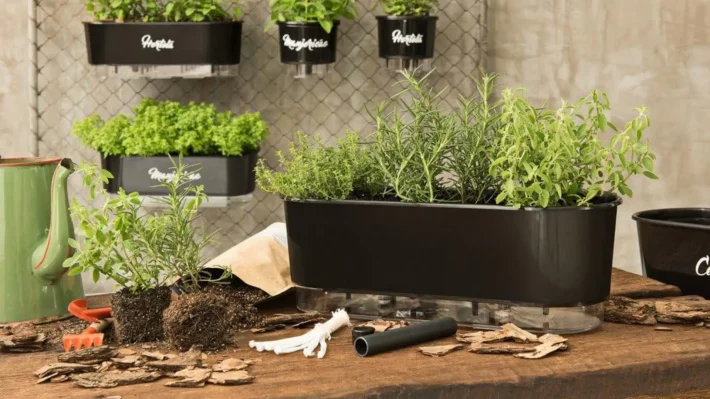 Com Vasos Autoirrigáveis de Cerâmica: Beleza e Cuidado Contínuo - inspiração