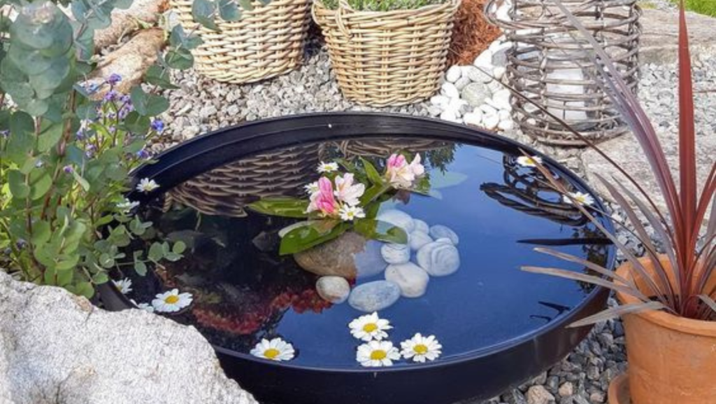 Mini-Lago em Recipiente de Cerâmica com Plantas Aquáticas - detalhe