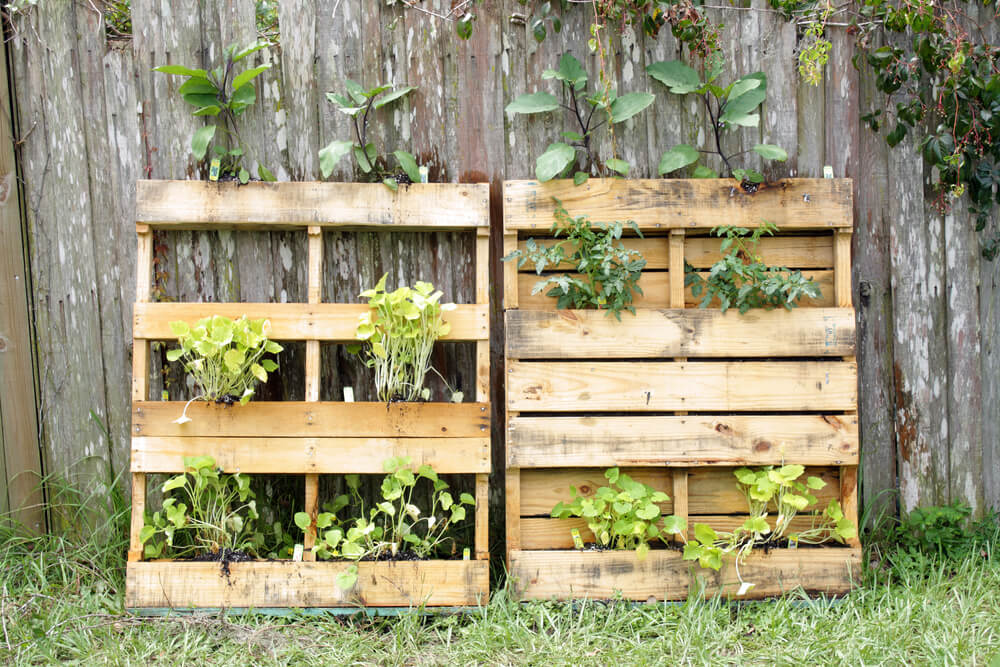 Pátio Aconchegante com Lounge de Pallets e Vegetação Suspensa - ideia