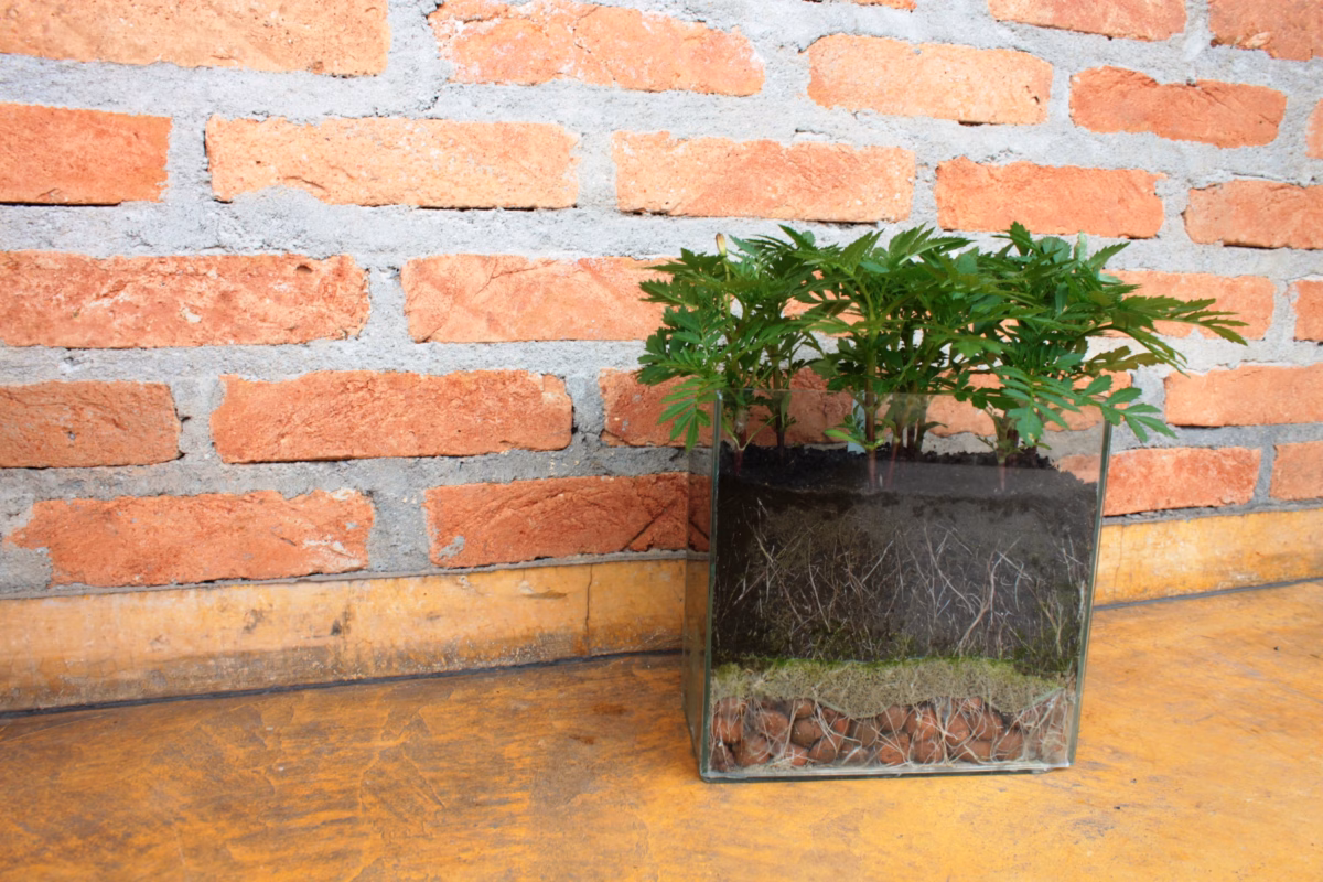 Drenagem Charmosa com Cacos de Telha Coloridos - detalhe