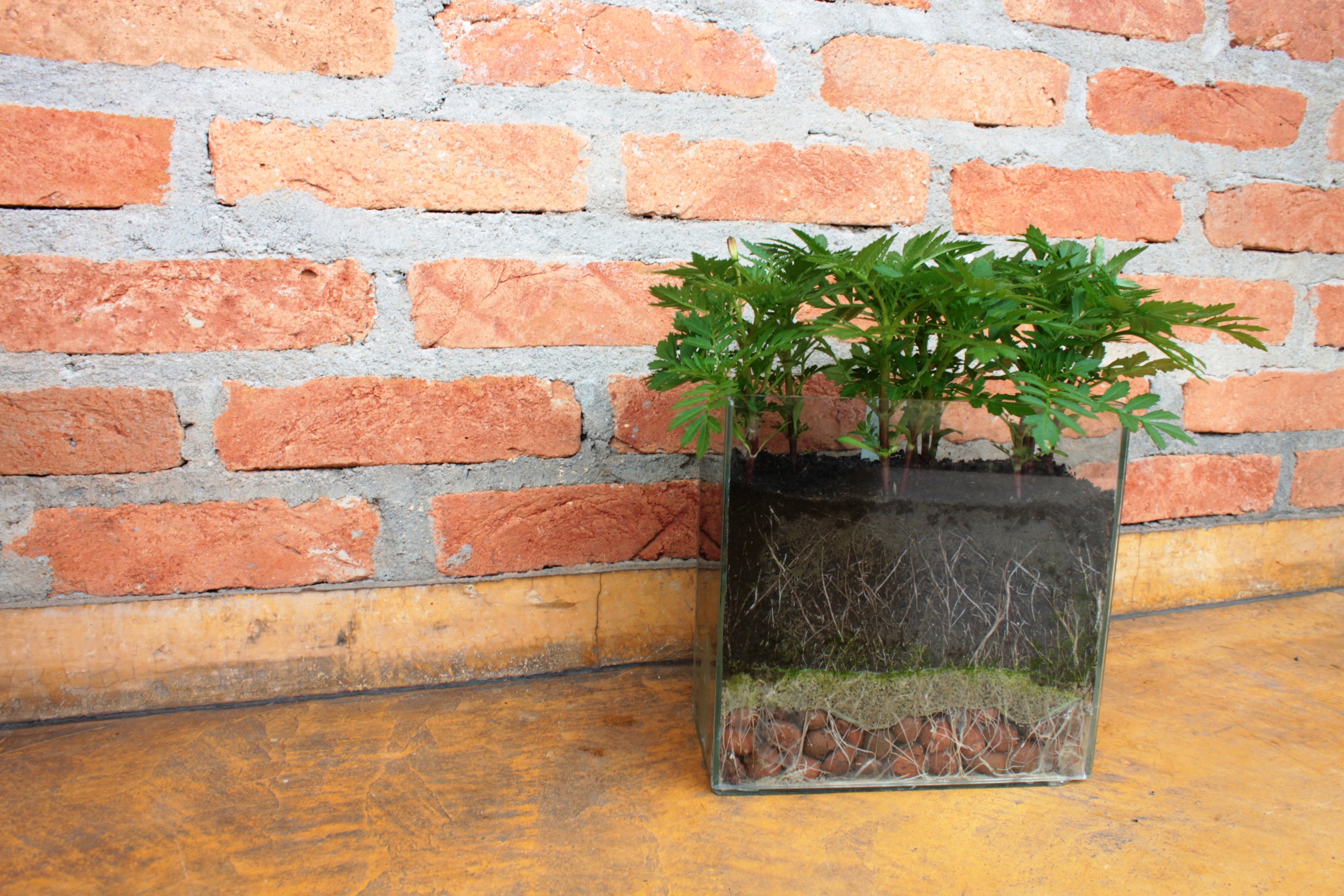 Drenagem Sustentável com Entulho Triturado e Tela de Sombreamento - detalhe