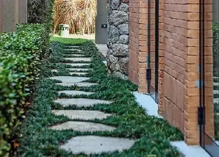 Em Espiral ao Redor de Árvores: Design Circular e Aconchegante - detalhe