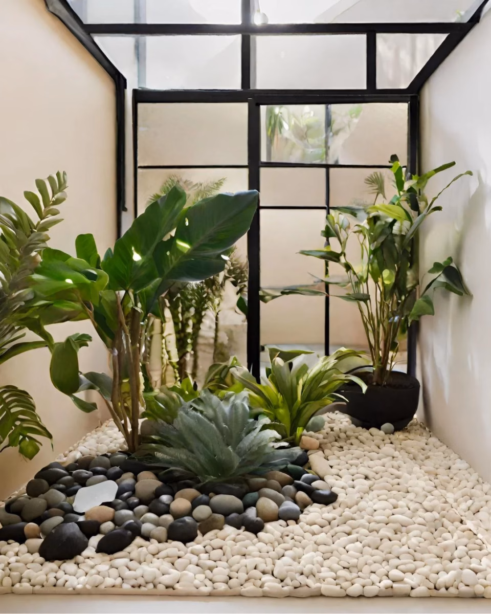 Minimalista com Cactos e Suculentas: Beleza Desértica - inspiração