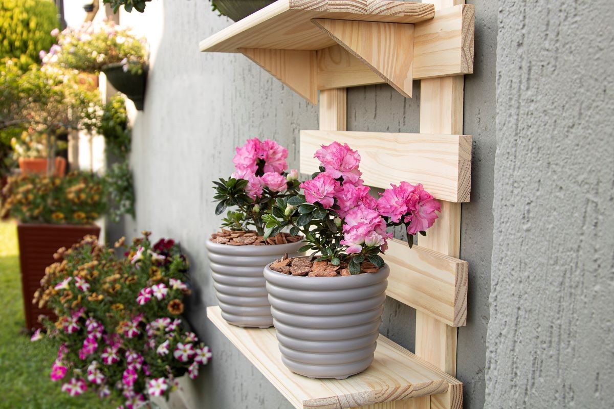 Com Casca de Pinus: A Natureza Rústica ao Seu Alcance - detalhe