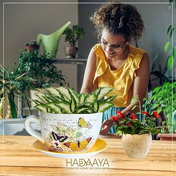 Em Cachepots de Cerâmica Decorados: Um Toque Artístico e Personalizado - detalhe