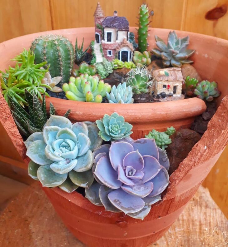 Mini-Jardins em Xícaras Vintage: Charme e Sustentabilidade - ideia