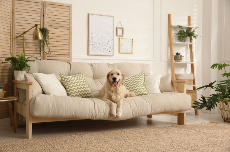 Sofá Cama com Capa Removível: Praticidade para o Dia a Dia - detalhe