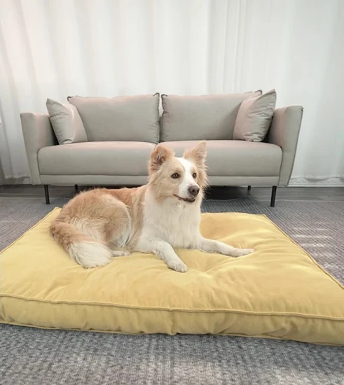 Sofá Cama com Capa Removível: Praticidade para o Dia a Dia - inspiração