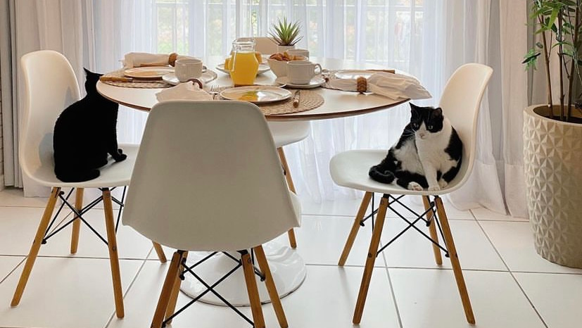 Mesa Redonda Colorida: Alegria e Dinamismo no Seu Dia a Dia! - detalhe