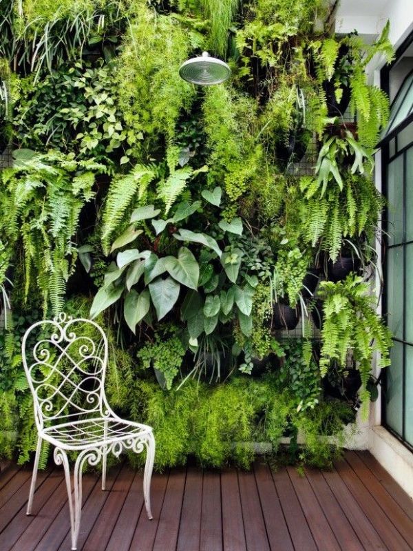 Jardins Verticais Modulares: a natureza que sobe pelas paredes - detalhe